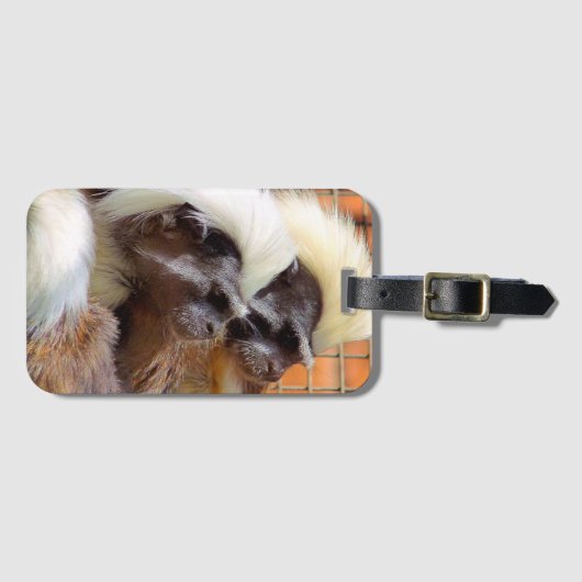 BAUMWOLLE - TOP TAMARIN MONKEYS GEPÄCKANHÄNGER (Vorderseite (Horizontal))