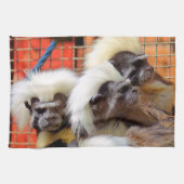 BAUMWOLLE - TOP TAMARIN MONKEYS GESCHIRRTUCH (Horizontal)
