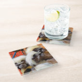 BAUMWOLLE - TOP TAMARIN MONKEYS GLASUNTERSETZER (Schrägansicht)