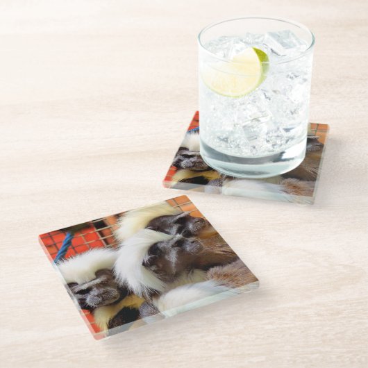 BAUMWOLLE - TOP TAMARIN MONKEYS GLASUNTERSETZER (Schrägansicht)