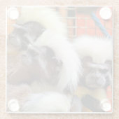 BAUMWOLLE - TOP TAMARIN MONKEYS GLASUNTERSETZER (Rückseite)