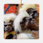 BAUMWOLLE - TOP TAMARIN MONKEYS KERAMIKORNAMENT (Rückseite)