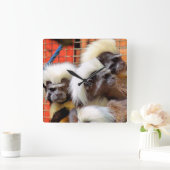 BAUMWOLLE - TOP TAMARIN MONKEYS QUADRATISCHE WANDUHR (Zuhause)