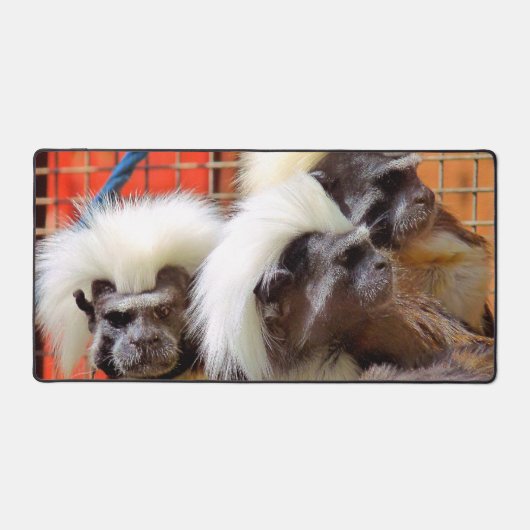 BAUMWOLLE - TOP TAMARIN MONKEYS SCHREIBTISCHUNTERLAGE (Vorderseite)