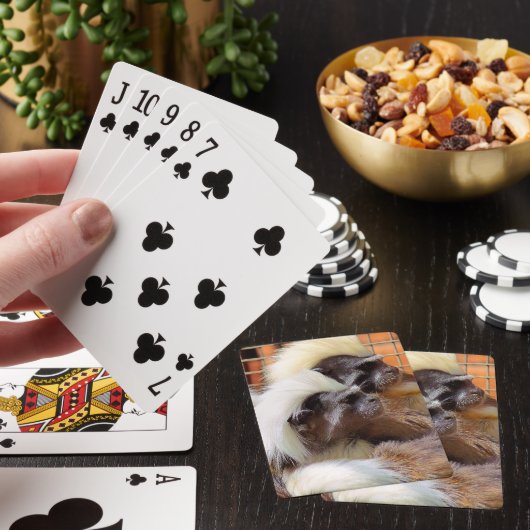 BAUMWOLLE - TOP TAMARIN MONKEYS SPIELKARTEN (In Situ)