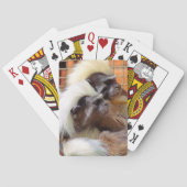 BAUMWOLLE - TOP TAMARIN MONKEYS SPIELKARTEN (Rückseite)