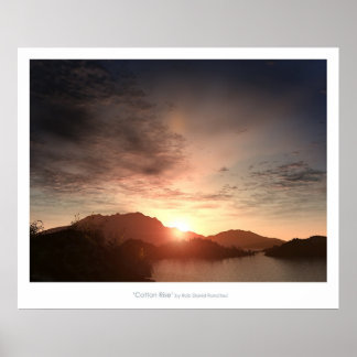 Baumwollerhöhung Poster