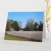 Baumwollfeld in Georgien mit Schale Karte (Gelbe Blume)