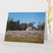 Baumwollfeld in Georgien mit Zuhause Card Karte (Gelbe Blume)