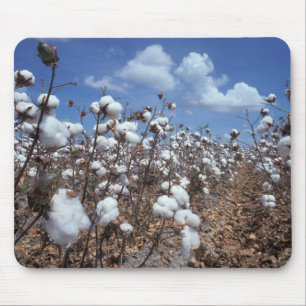 Baumwollfeld Mousepad