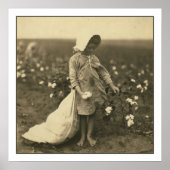 Baumwollfeld Poster (Vorne)