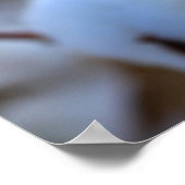 Baumwollfeld-Poster Poster (Ecke)