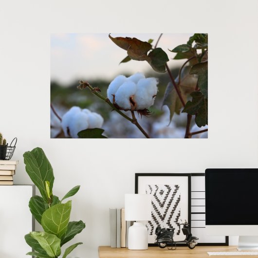 Baumwollfeld-Poster Poster (Heimbüro)