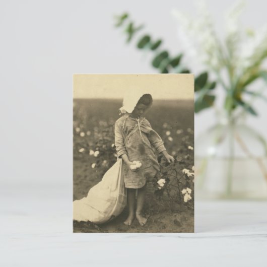 Baumwollfeld Postkarte (Stehend Vorderseite)