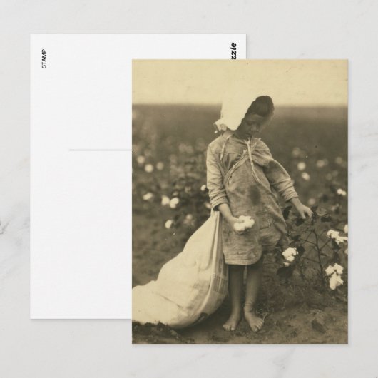 Baumwollfeld Postkarte (Vorne/Hinten)