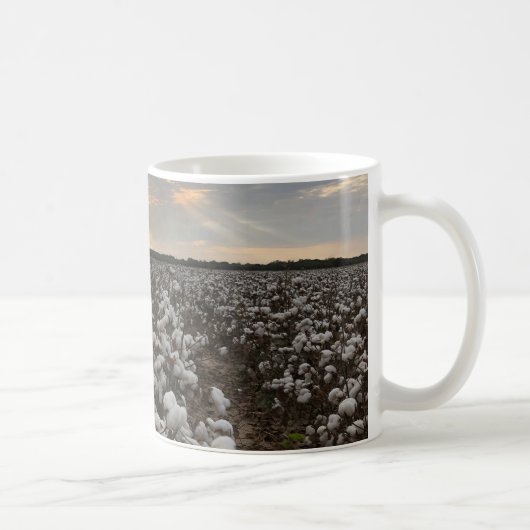 Baumwollfeld-Sunset Kaffeetasse (Rechts)