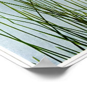 Baumwollgras Poster (Ecke)