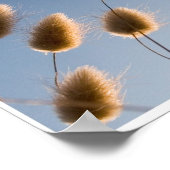 Baumwollgrasmontage Poster (Ecke)