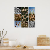 Baumwollgrasmontage Poster (Küche)