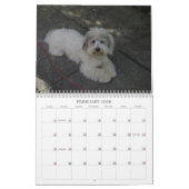 Baumwollkalender Kalender (Feb 2026)