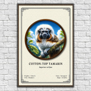 Baumwollkopftamarin Zoologie-Serie Poster