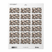 Baumwollmuster Pflanze Grau Adressaufkleber (Vorne)