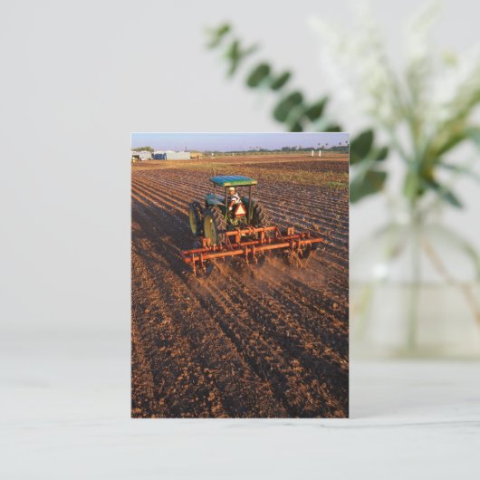 Baumwollprüffeld Postkarte (Stehend Vorderseite)