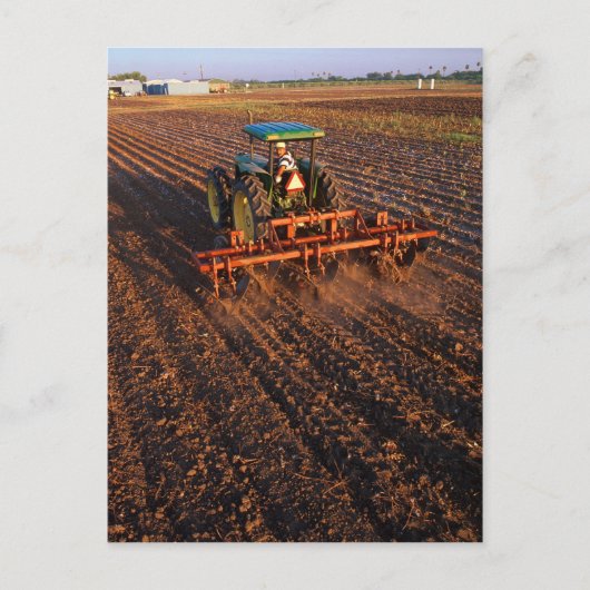 Baumwollprüffeld Postkarte (Vorderseite)