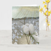 Baumwollsonne Karte (Gelbe Blume)