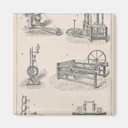 Baumwollspinnen I Magnet (Vorne)