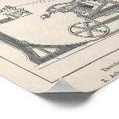 Baumwollspinnen I Poster (Ecke)