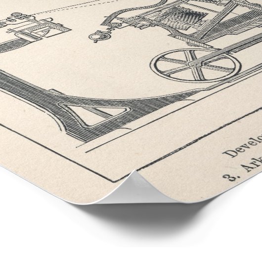 Baumwollspinnen I Poster (Ecke)