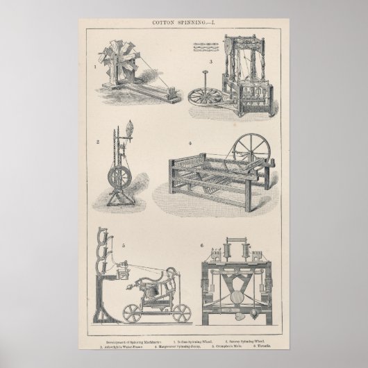 Baumwollspinnen I Poster (Vorne)