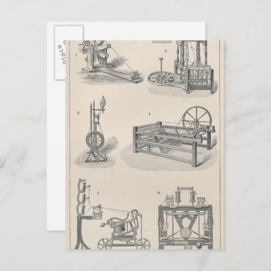 Baumwollspinnen I Postkarte (Vorne/Hinten)