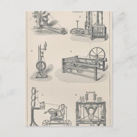 Baumwollspinnen I Postkarte (Vorderseite)