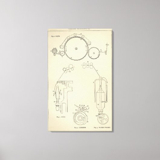 Baumwollspinnen II Leinwanddruck (Vorderseite)