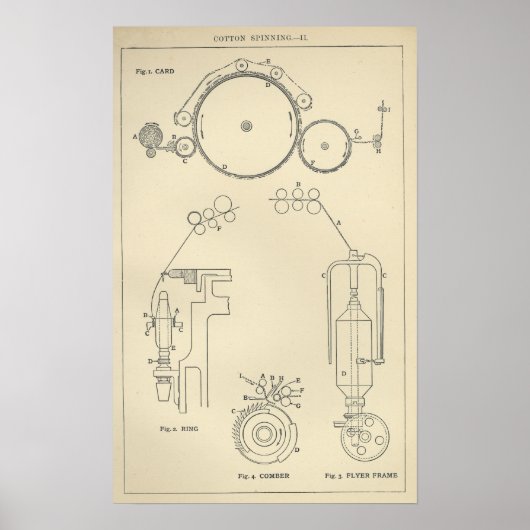Baumwollspinnen II Poster (Vorne)