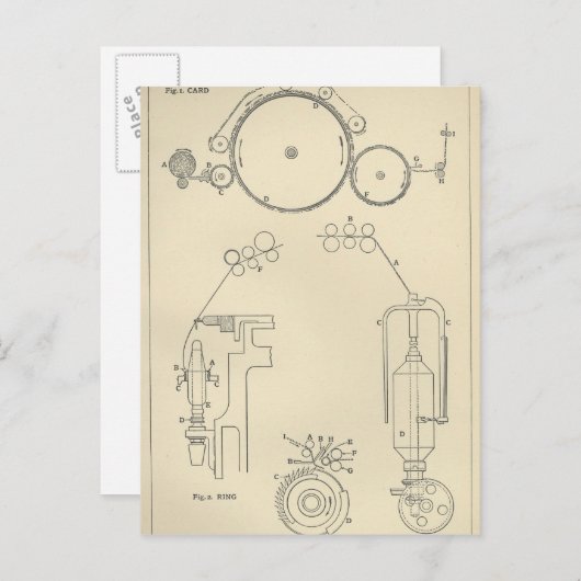 Baumwollspinnen II Postkarte (Vorne/Hinten)