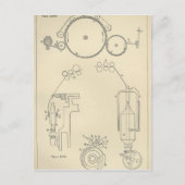 Baumwollspinnen II Postkarte (Vorderseite)