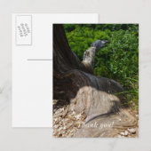 Baumwurzel Erweiterung Postkarte (Vorne/Hinten)
