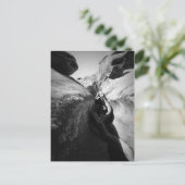 Baumwurzel in Crevice Postkarte (Stehend Vorderseite)