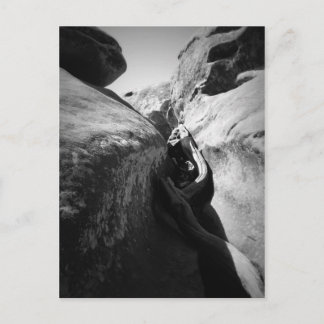 Baumwurzel in Crevice Postkarte