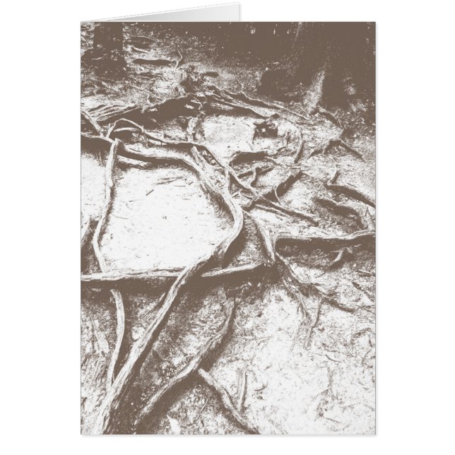 Baumwurzeln auf Mt. Kurama (Vorne)