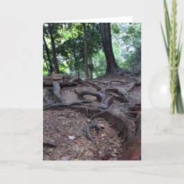 Baumwurzeln auf Mt. Kurama Karte