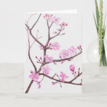 Baumzweig blüht im Frühjahr mit rosa Blume