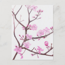 Baumzweig blüht im Frühjahr mit rosa Blume Postkarte