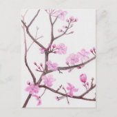 Baumzweig blüht im Frühjahr mit rosa Blume Postkarte (Vorderseite)