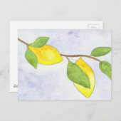 Baumzweig mit Zitronen und Blätter in Wasserfarbe Postkarte (Vorne/Hinten)