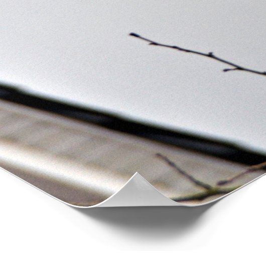 Baumzweig ohne Blätter gegen wolkigen Himmel Poster (Ecke)