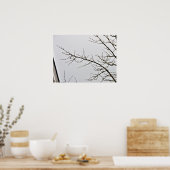 Baumzweig ohne Blätter gegen wolkigen Himmel Poster (Küche)